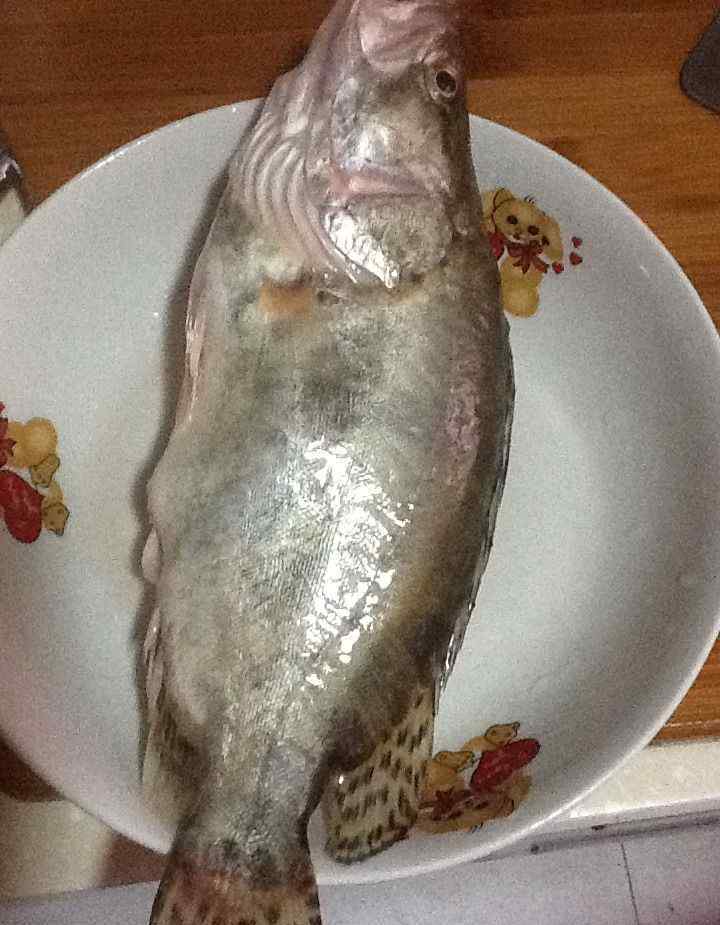 鮭魚的家常做法 清蒸鮭魚做法和配方 清蒸鮭魚做法大全