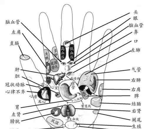 手背 手掌手背可以治百病的穴位，90%的人不知道！