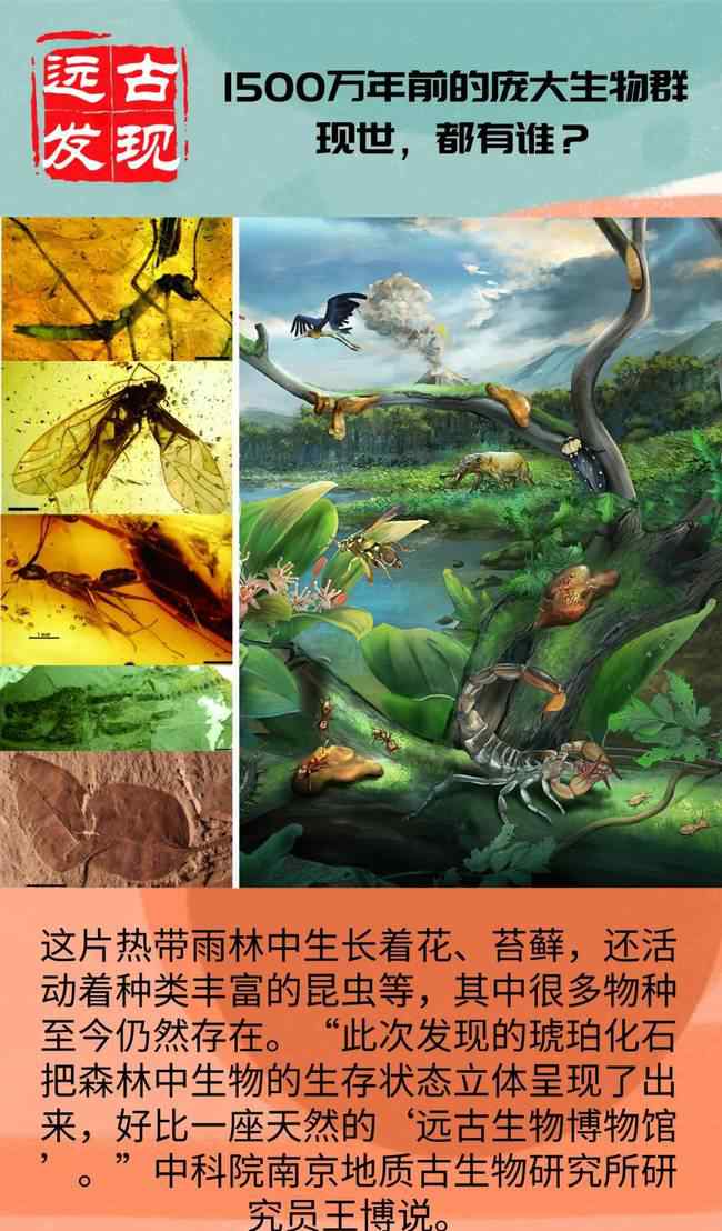 1500萬(wàn)年前的龐大生物群現(xiàn)世 還原事發(fā)經(jīng)過(guò)及背后真相！