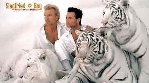 虎兄弟 創(chuàng)造不可能的大師——白老虎兄弟Siegfried & Roy