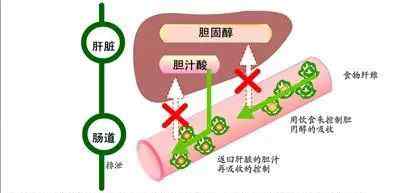 肝功能輕度異常 【謹(jǐn)防肝病】肝功能異常怎么辦？