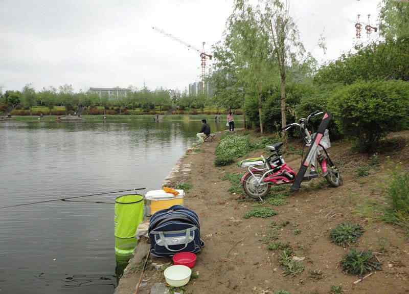 公認(rèn)釣白條最快的釣法 釣魚(yú)人又愛(ài)又恨的白條魚(yú)，想要釣得多卻不易，分享兩種最快的釣法