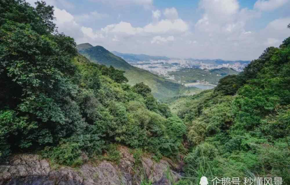 東莞觀音山門票 東莞觀音山森林公園門票多少錢要提前訂嗎可以玩什么