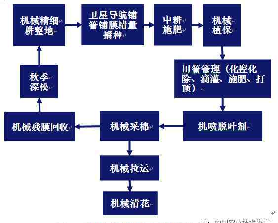 棉花采摘機(jī) 棉花采摘及殘膜回收機(jī)械化技術(shù)集成示范