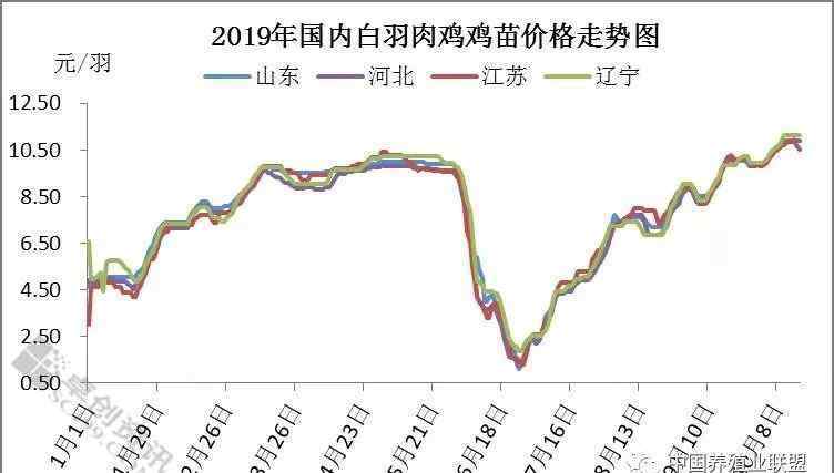 肉食市場 大肉食市場各環(huán)節(jié)持續(xù)利好，全線突破歷史新高！