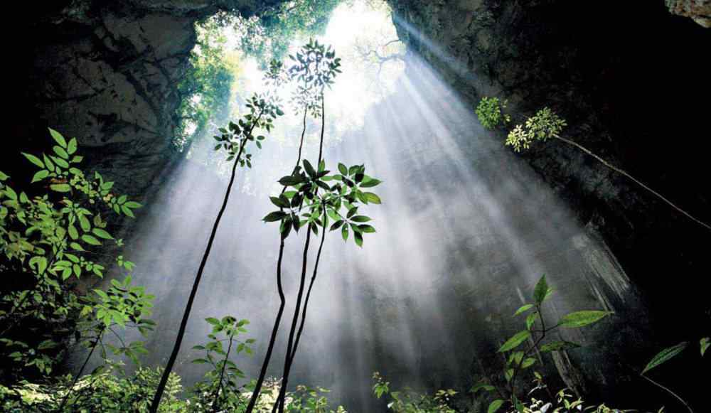 黃猄 地貌驚險景色壯觀，野生蘭科植物豐富——走近黃猄洞天坑