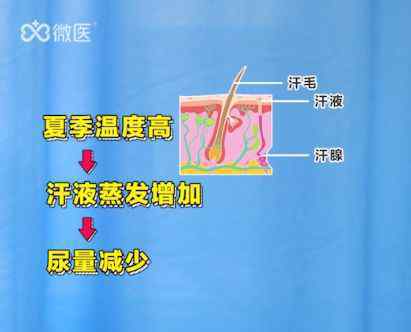 一喝水就想尿是腎虛嗎 一喝水就想上廁所，是腎虛嗎？