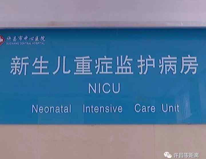 nicu病房是什么意思 帶你走進兒童重癥監(jiān)護病房，揭開NICU的神秘面紗