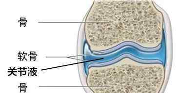 膝關(guān)節(jié)韌帶能自愈嗎 骨科醫(yī)生：休息＋鍛煉＝慢慢自愈