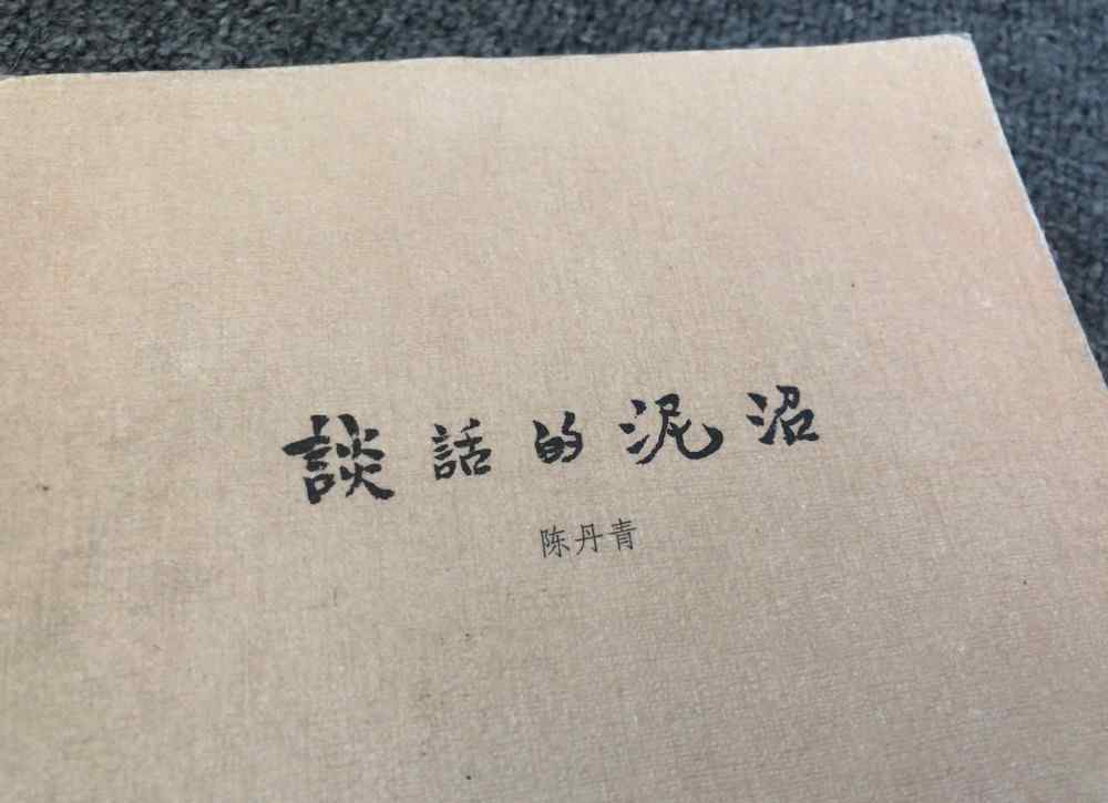 陳丹青的書(shū) 超喜歡讀訪(fǎng)談?lì)惖臅?shū)，讀完陳丹青的《談話(huà)的泥沼》，特別感慨