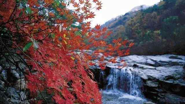 韓國護照免簽國家 去韓國, 護照上有這些國家簽證可以“免簽”入境！