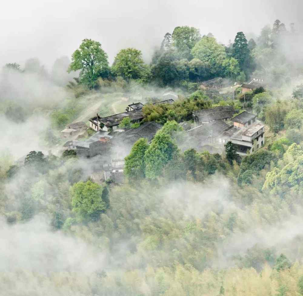 天斗山 住進森林的小木屋，賞四季的美景！永安天斗山莊給你不一樣的享受