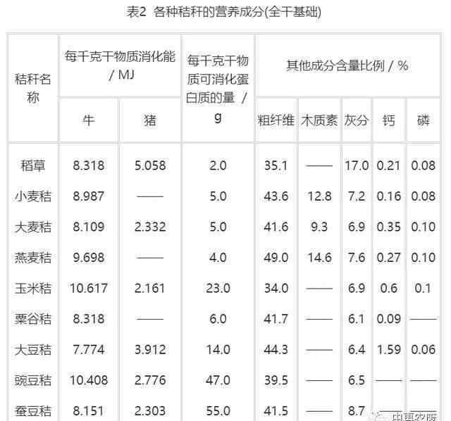 玉米秸稈深加工項目 2.4億噸的年產(chǎn)量利用率卻不足30％，玉米秸稈飼用化之路從何突破？