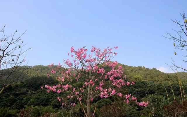 玉瑤山莊圖片 潮州玉瑤山莊風景這么美，你來過嗎？