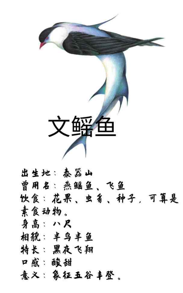 文鰩魚(yú) 解讀《山海經(jīng)》美味文鰩魚(yú)，像李白一樣懷才不遇的飛魚(yú)