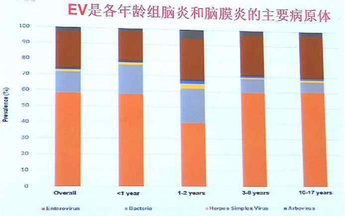 腸道病毒 寶寶的夢魘——腸道病毒，你了解多少？