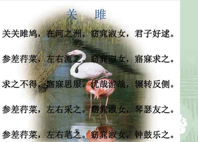 關(guān)雎古詩 小學(xué)生古詩詞每日一首——《關(guān)雎》