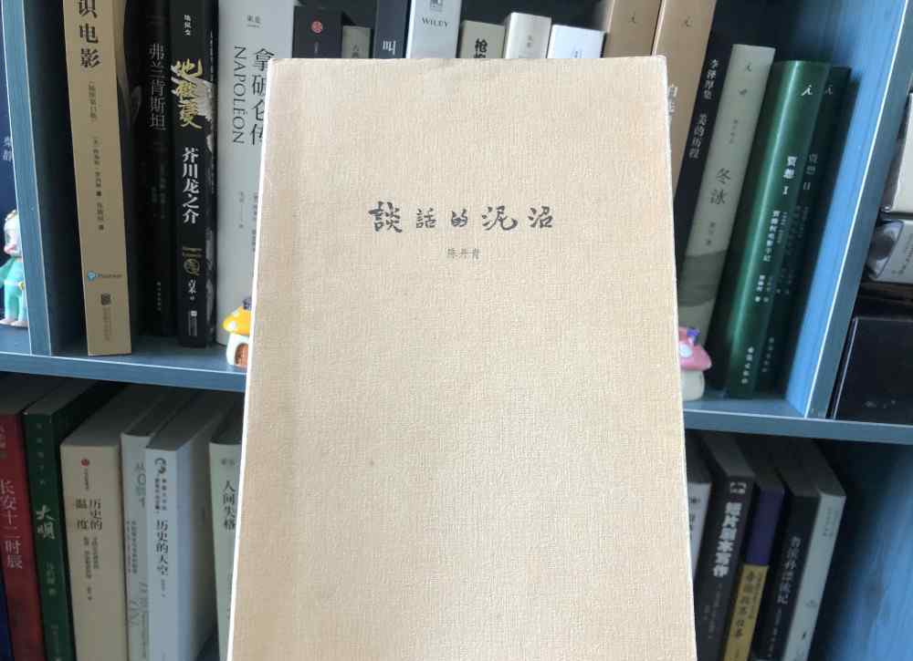 陳丹青的書(shū) 超喜歡讀訪(fǎng)談?lì)惖臅?shū)，讀完陳丹青的《談話(huà)的泥沼》，特別感慨