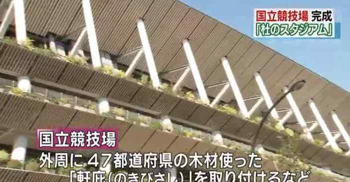 國立競技場 東京奧運會＆殘奧會主場館，國立競技場終于建好了！