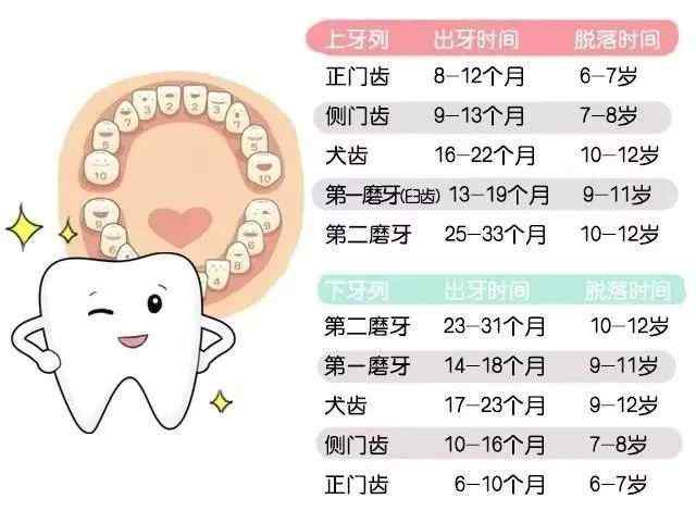 小孩換牙齒一直長不出來怎么辦 孩子換牙慢是什么原因？乳牙長不出來怎么辦？