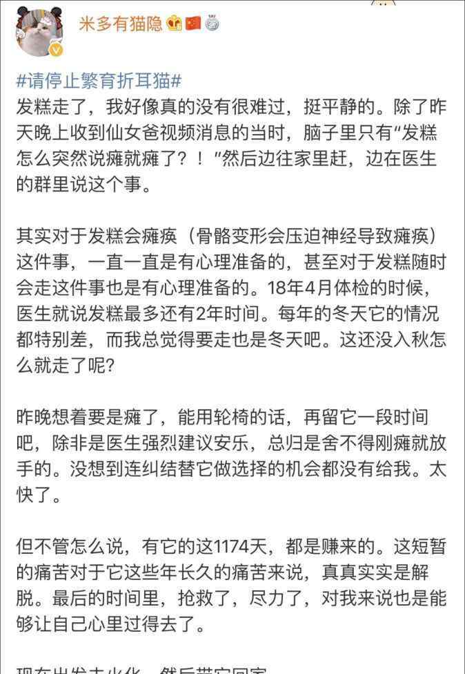 普通折耳貓多少錢一只 折耳貓有多可愛，人類就有多殘忍