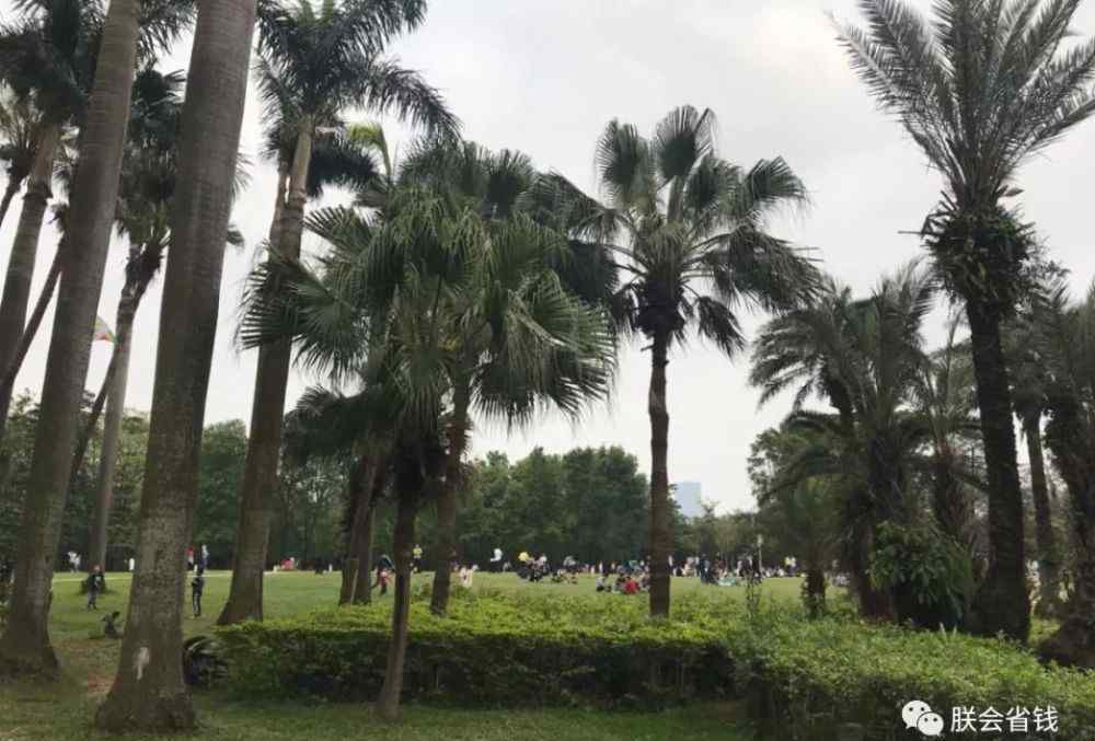 深圳荔香公園 深圳這4個(gè)冷門主題公園，只有10％的人知道！