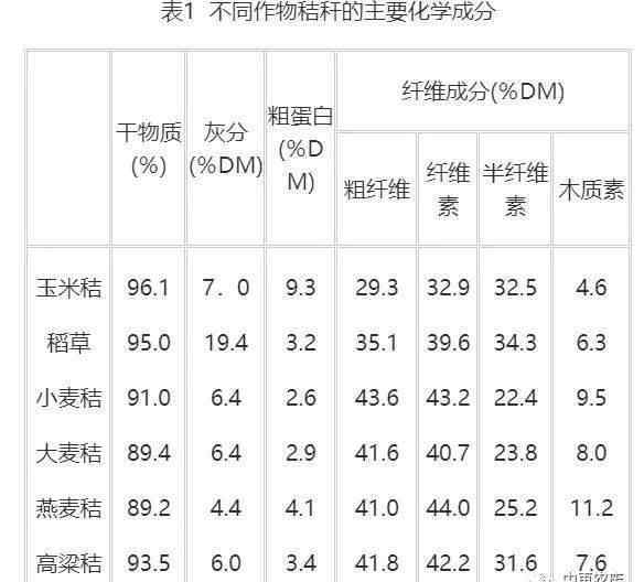 玉米秸稈深加工項目 2.4億噸的年產(chǎn)量利用率卻不足30％，玉米秸稈飼用化之路從何突破？