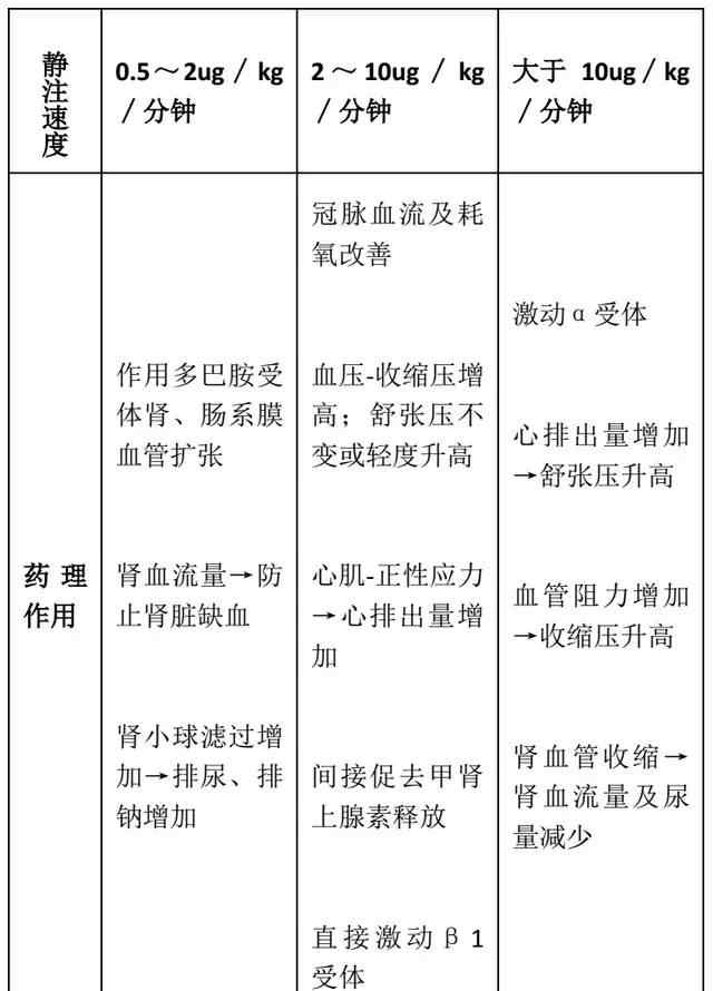 多巴胺注射液 一文讀懂多巴胺