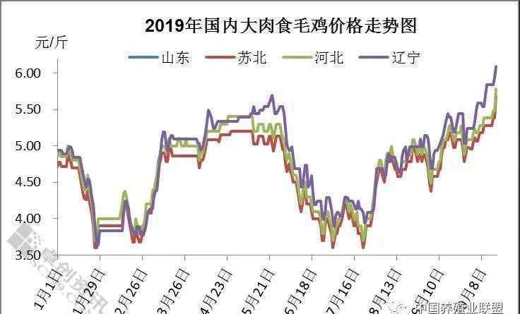 肉食市場 大肉食市場各環(huán)節(jié)持續(xù)利好，全線突破歷史新高！