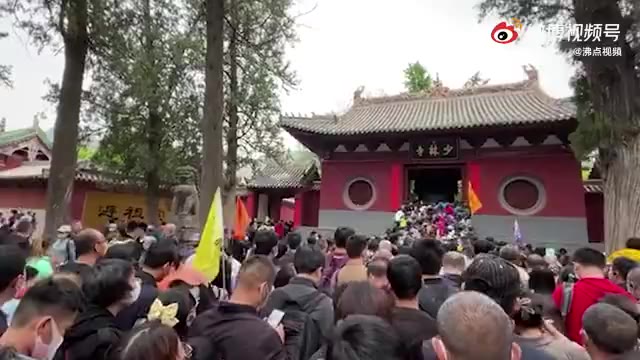 少林寺竹林被上百游客刻字?jǐn)?shù)十人爭相攀爬扭斷幼竹 到底什么情況呢？