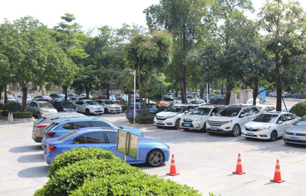 唐林燦 藍光碧桂園錦瀧灣紅動全城千人到訪均安