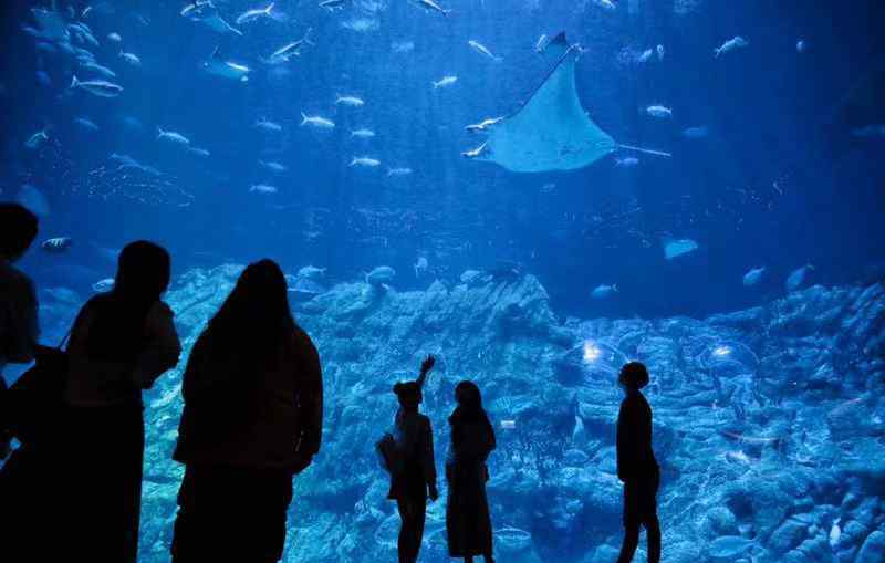 香港海洋公園一日游 探訪香港海洋公園：周末客流回升，內(nèi)地游客增多