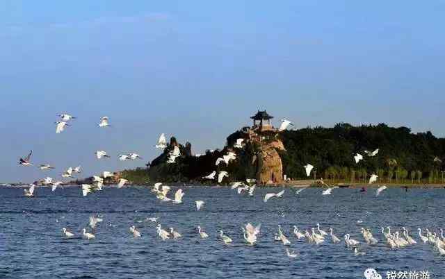 秦皇島鴿子窩公園 “游客眼中的秦皇島”之暢玩鴿子窩公園