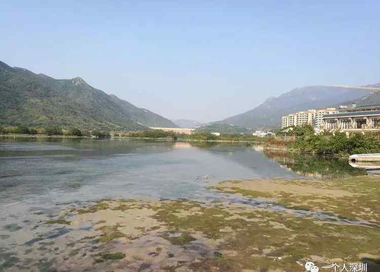 海柴角 深圳陸地最東端：海柴角