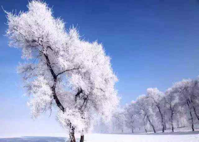 北風吹雁雪紛紛的上一句是什么 白雪紛飛，這十句詠雪的名詩，寫盡冬天的味道