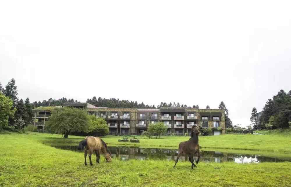 仙女山攻略 仙女山冬季自助游攻略2019完整版，不一樣的重慶，不一樣的樂趣