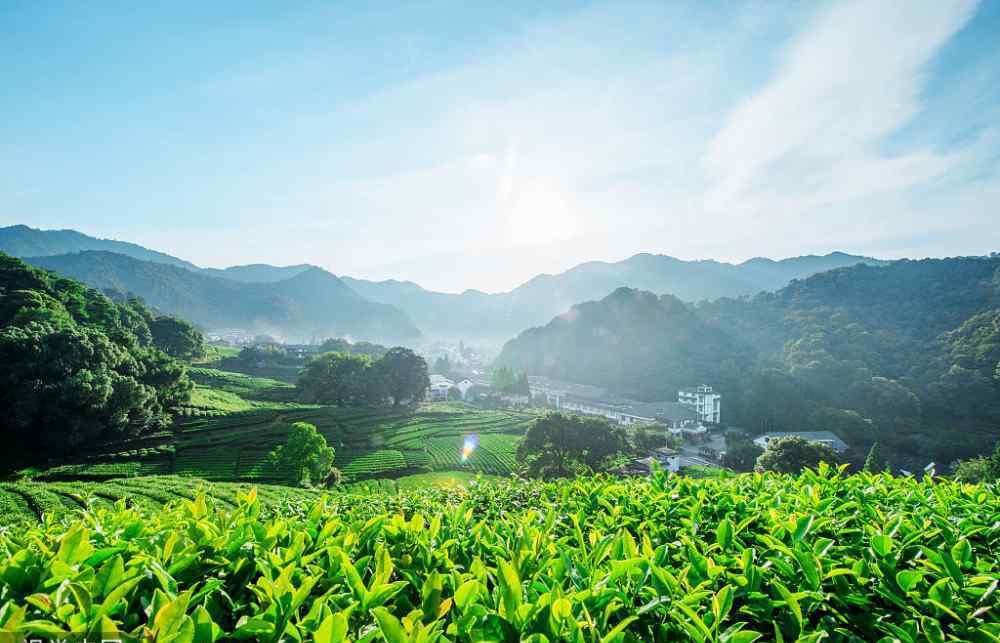 旺克 貴州算命哪里準(zhǔn)：人財(cái)兩空，雞飛蛋打的八字