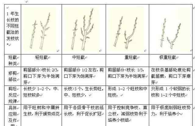 果樹修剪技術(shù) 果樹修剪入門，11種修剪技術(shù)詳解