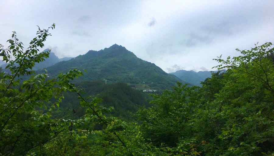 重慶最高峰 重慶開州區(qū)主要的山體，及山峰海拔，全區(qū)最高峰2626米