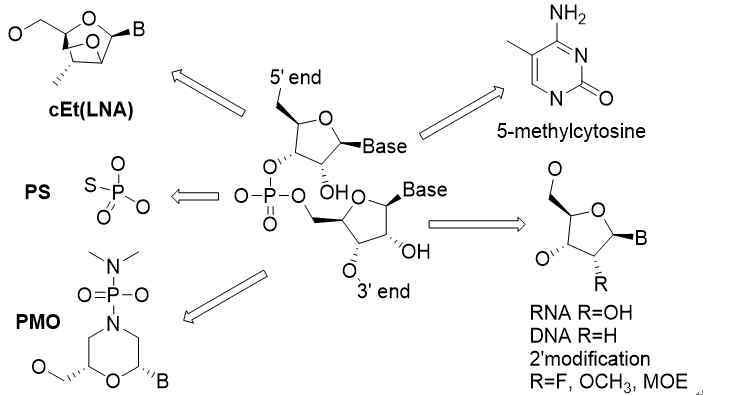 卟啉病人照片 生物科技的下個(gè)10年：RNA藥物“王者歸來”