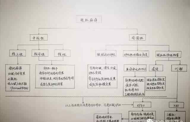 眼肌麻痹 眼肌麻痹之神經(jīng)內(nèi)科臨床思維的診斷