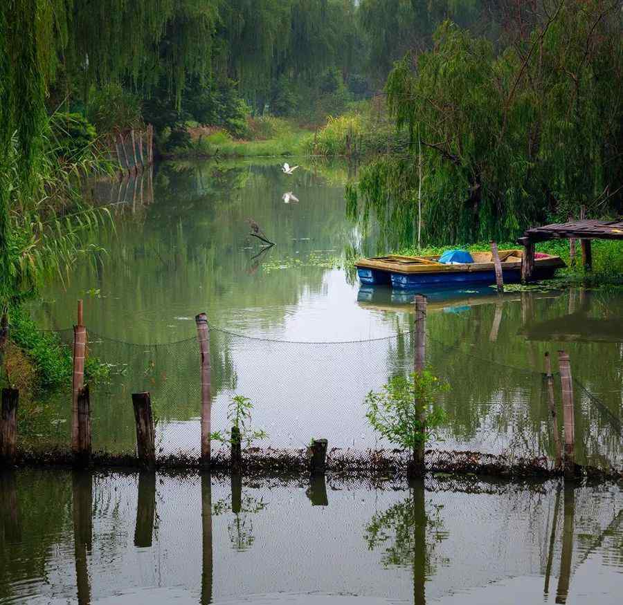 霜葉紅于二月花是什么季節(jié) 一年四季，你最喜歡哪個(gè)季節(jié)呢？