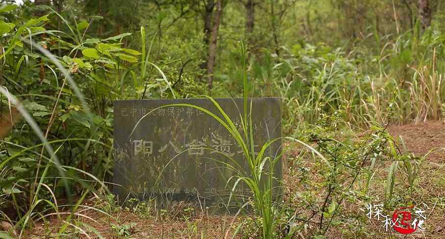 巴中電視臺新聞頻道 巴中電視臺紀(jì)錄片《探秘巴文化》第一季第三集：陽八臺的訴說