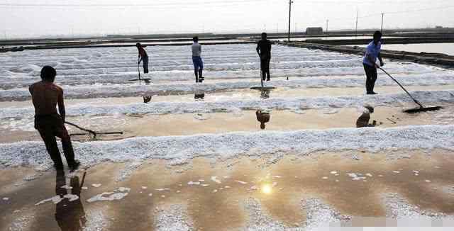 鹽堿地形成 為什么耕地用黃河水長期灌溉會形成鹽堿地？罪魁禍首竟然是“只進不出”