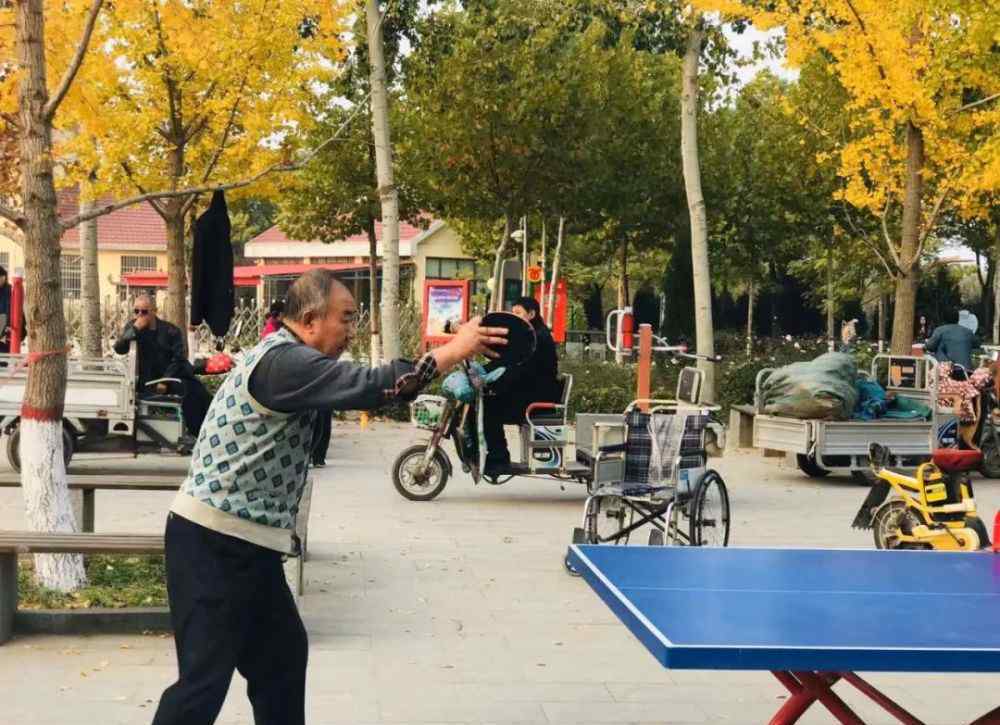 任縣新聞 人民公園，任縣人的后花園！