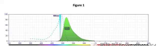 fitc 如果不了解GFP、FITC和PE的這些特性，你的流式數(shù)據(jù)就可能是錯(cuò)的
