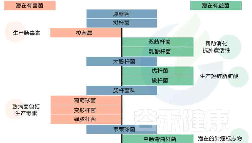 神經(jīng)系統(tǒng)治療 抑郁，自閉等神經(jīng)系統(tǒng)疾病治療新出路