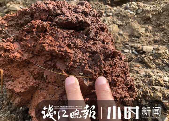 tektite 浙江臨安驚現(xiàn)比鉆石還貴的隕石？專家：需進(jìn)一步分析