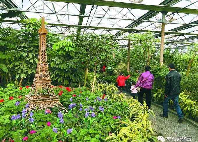 世界公園地址 “世界公園”藏身熱帶植物園，豐臺(tái)這個(gè)公園玩上一整天都不過(guò)癮