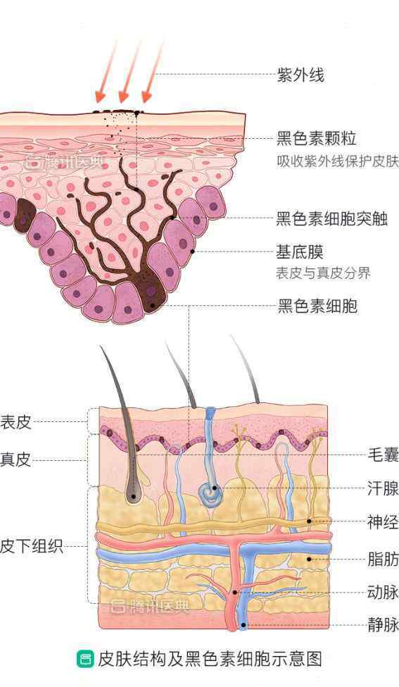 臉上很多斑 臉上色斑顯老又難看？醫(yī)生提醒：2個方法收好，你就少長斑